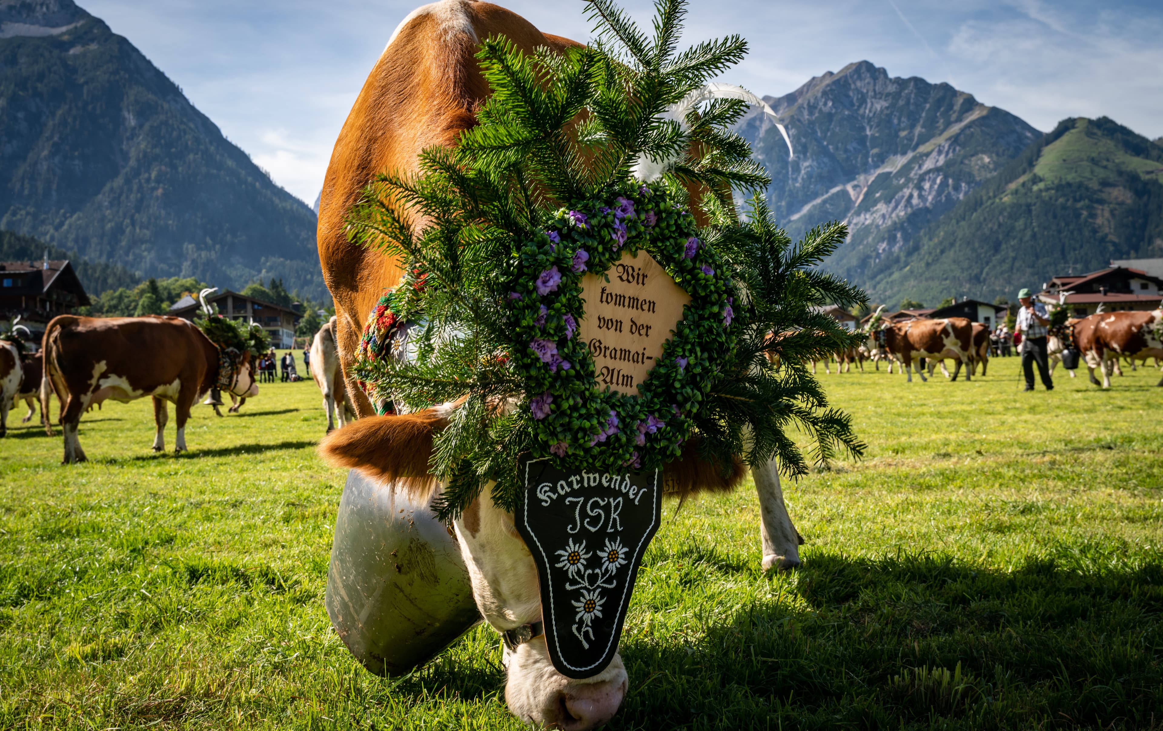 Almabtrieb am Achensee